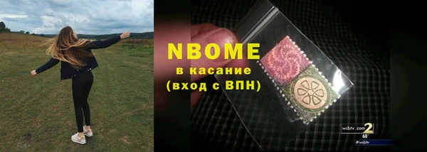 индика Баксан