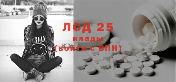 индика Баксан