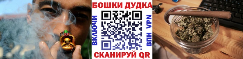 закладки  Лесной  Конопля гибрид 